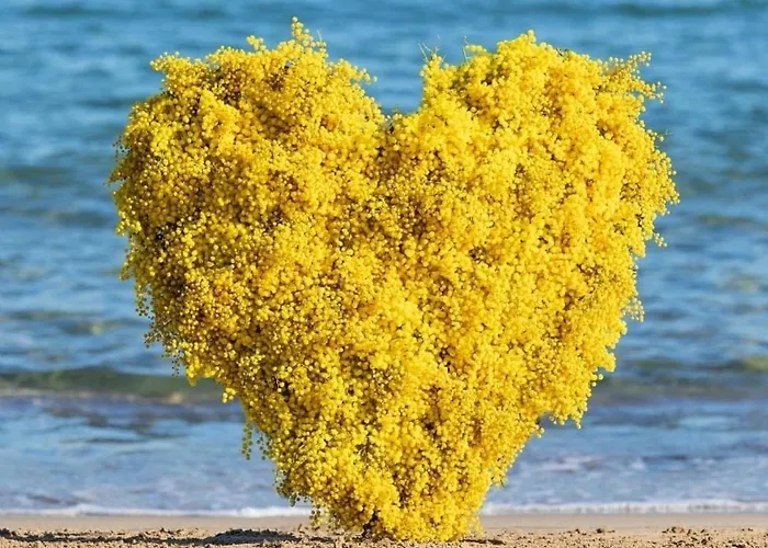 Διαμέρισμα Mimoza Jagodina